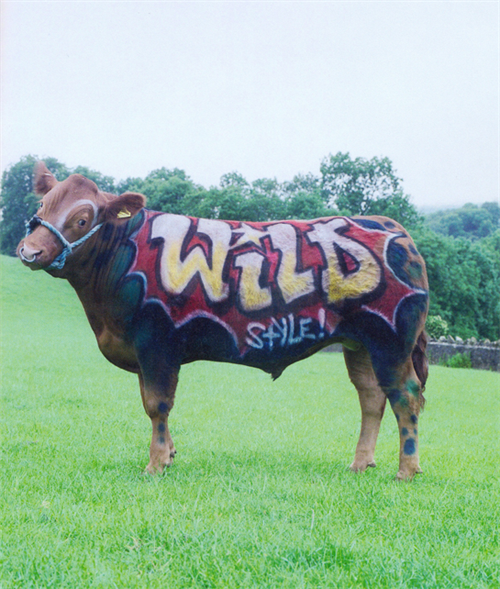Banksy cow